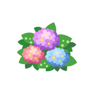 plant_hydrangea01_01